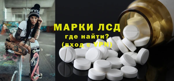 прущие грибы Горняк