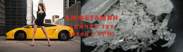 прущие грибы Горняк