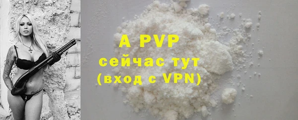 прущие грибы Горняк