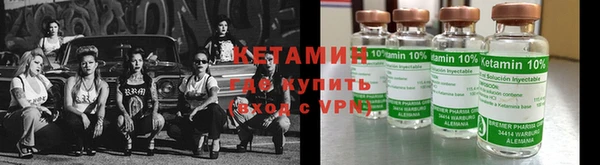 прущие грибы Горняк