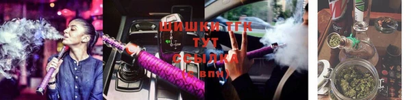 прущие грибы Горняк