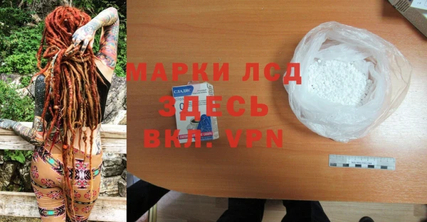 прущие грибы Горняк
