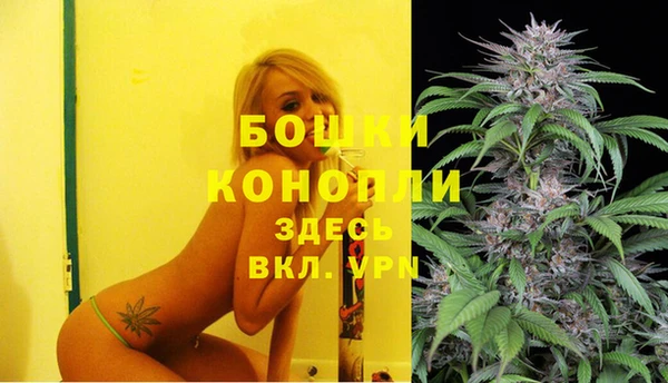 прущие грибы Горняк
