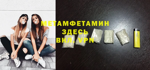 прущие грибы Горняк