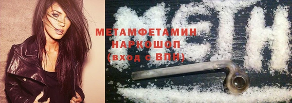прущие грибы Горняк