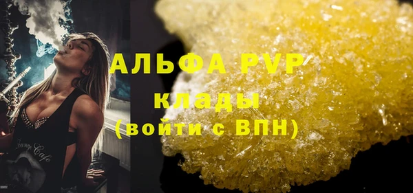 прущие грибы Горняк