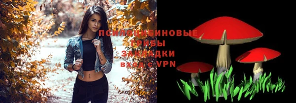 прущие грибы Горняк
