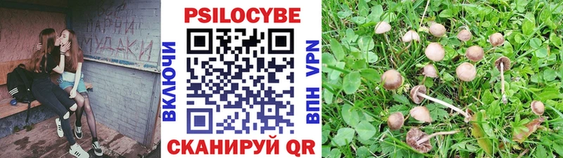Галлюциногенные грибы Magic Shrooms  Спас-Клепики 